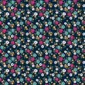Cute floral pattern in the small flowers. Royalty Free Stock Photo